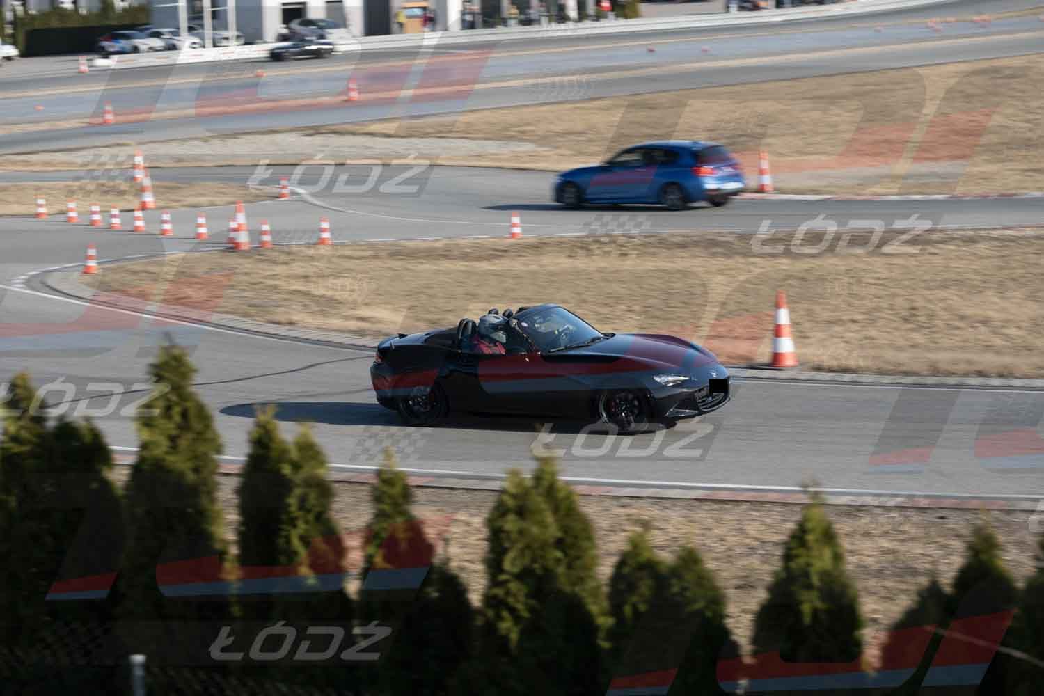 140326TDauto (21).jpg