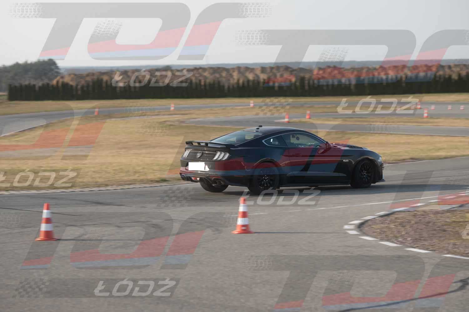 290326TDauto (133 of 186).jpg