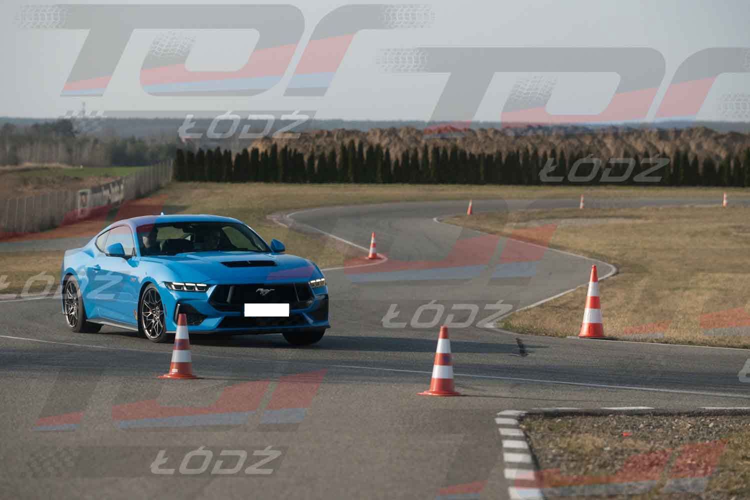 290326TDauto (93 of 186).jpg