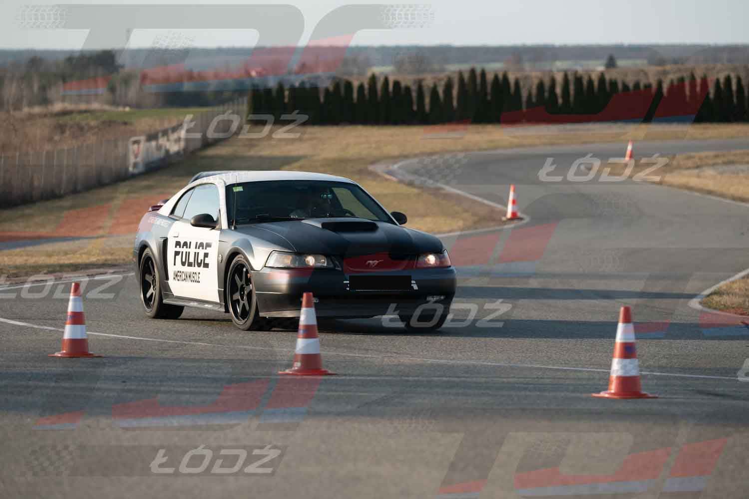 220326TDauto (42 of 306).jpg