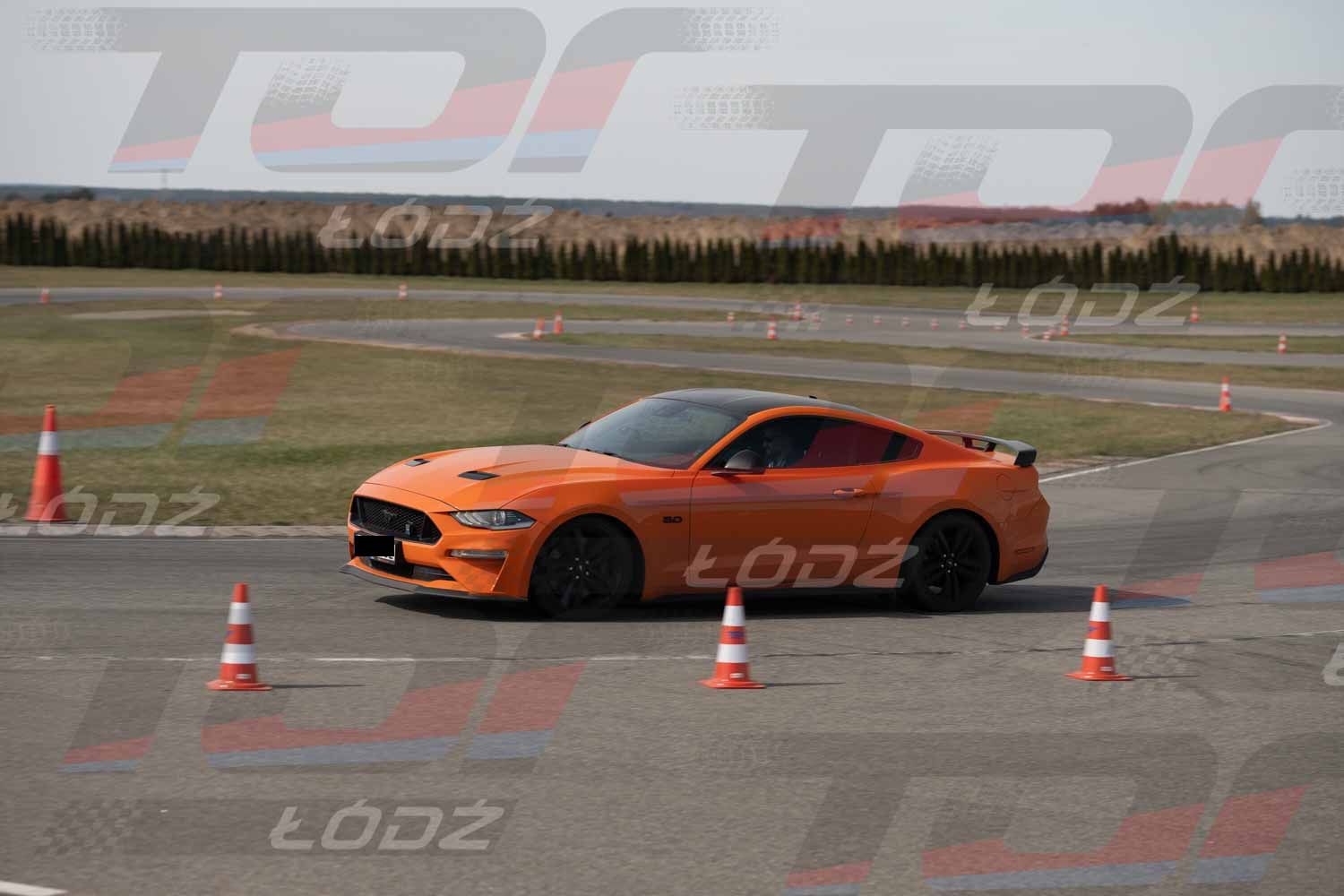 120426szkolenie (57 of 82).jpg