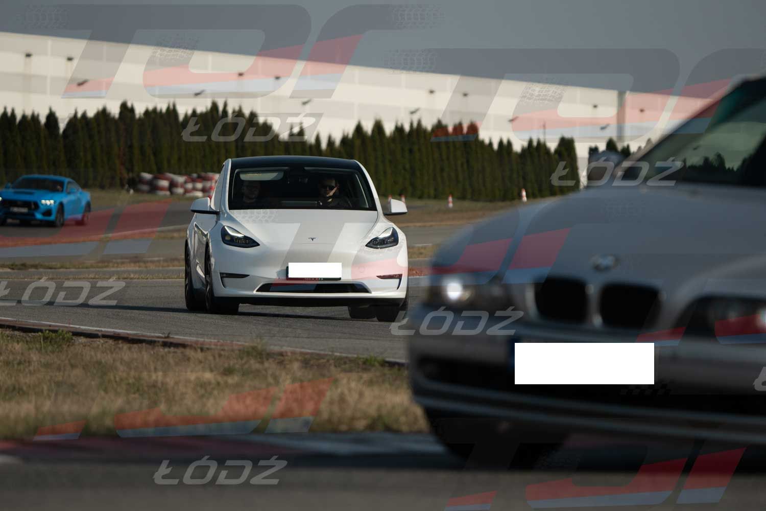 290326TDauto (21 of 186).jpg