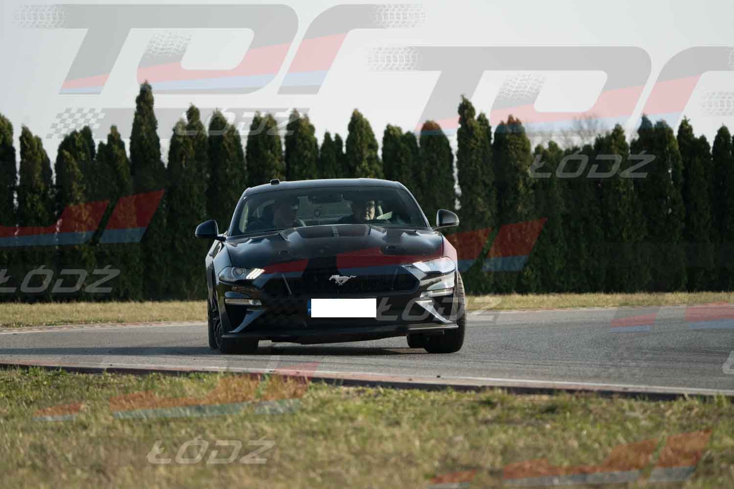 290326TDauto (37 of 186).jpg