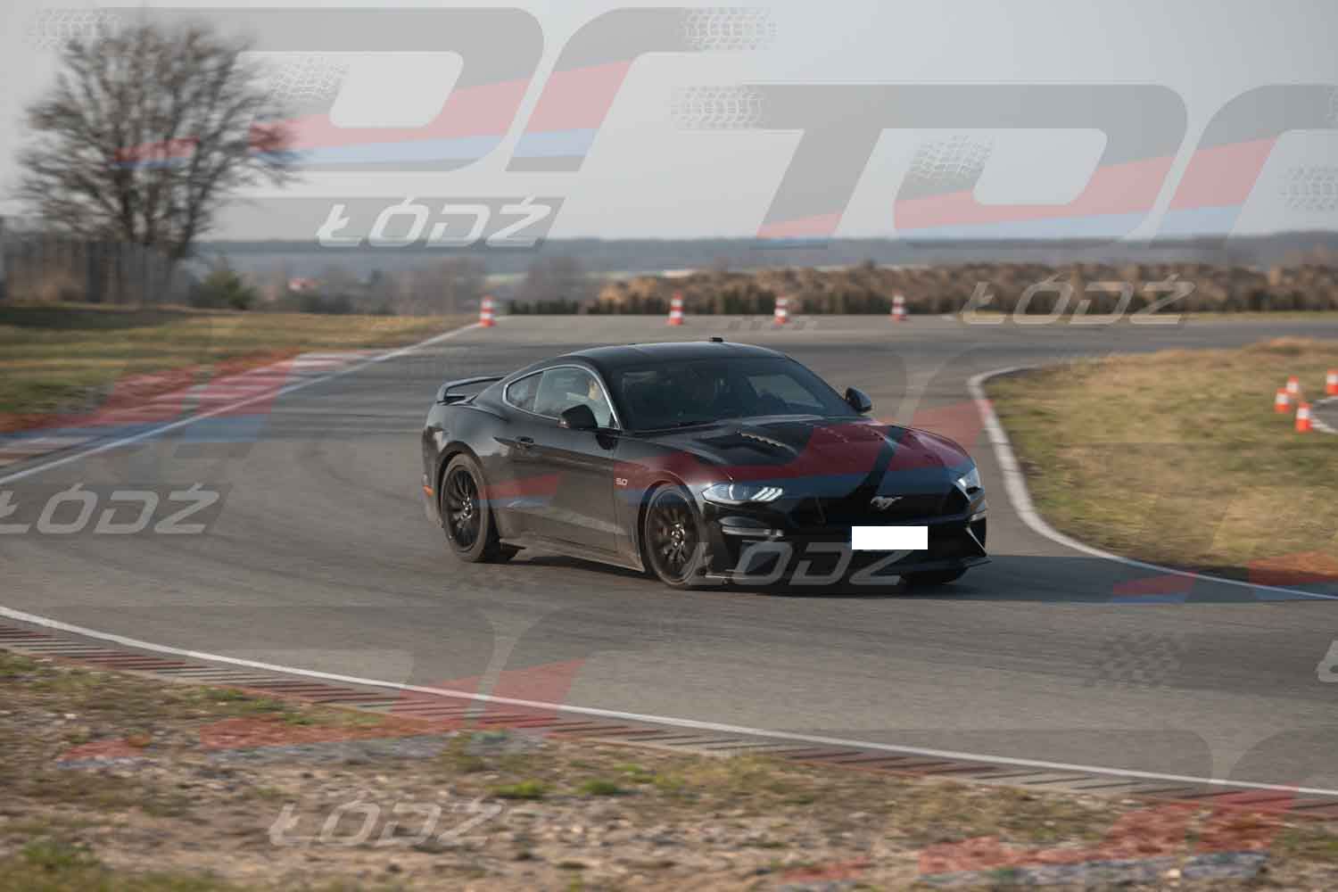 290326TDauto (119 of 186).jpg